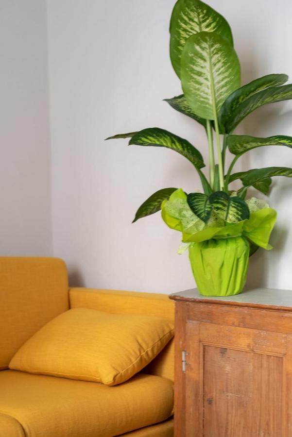 San Zanobi Family Suite In Firenze Bagian luar foto